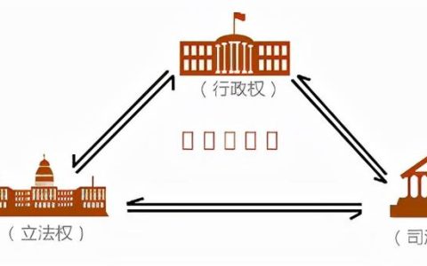 高中历史教学案例分析及反思（高中历史教学案例—–辛亥革命）