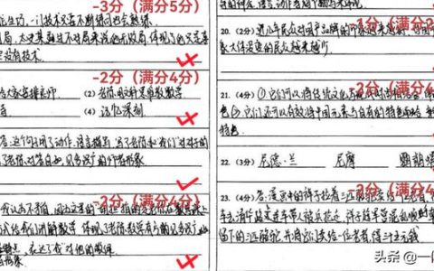 试卷分析语文学生500字，试卷分析语文100字